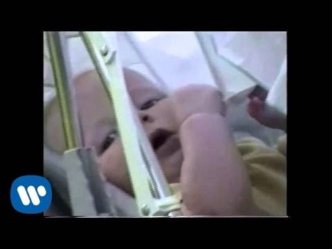 Ed Sheeran – Photograph (Official Music Video Complete) | Meaning, Views, Impact, and Music Industry Legacy